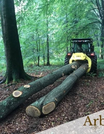 Débardage au tracteur