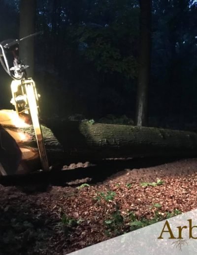 Débardage forêt - tracteur forestier