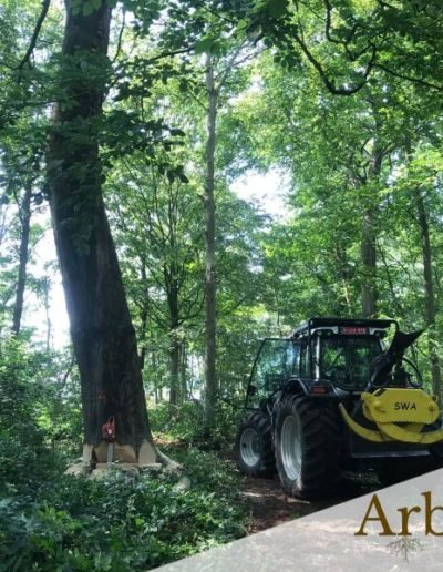 Débardage tracteur forestier Belgique
