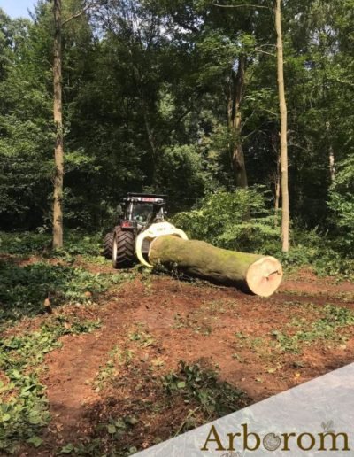 Débardage au tracteur Belgique