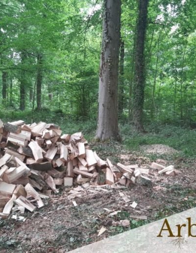 Abattage forestier