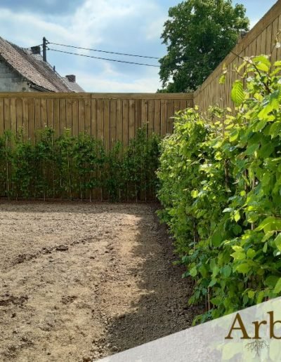 Jardinier pose de haie
