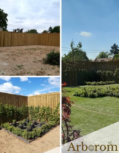 Création jardin hainaut