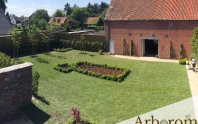 Aménagement complet d’un jardin : pelouse en rouleau, parterres, plantations, haie de charmes