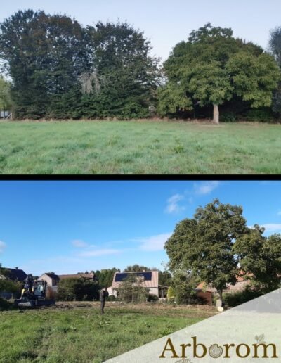 entrepreneur en abattage d'arbres - Hainaut