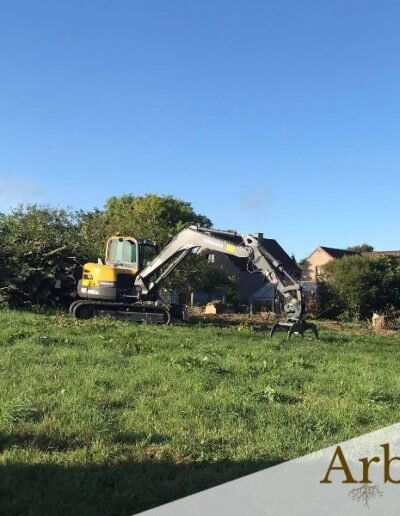 abattage avec grue en Belgique