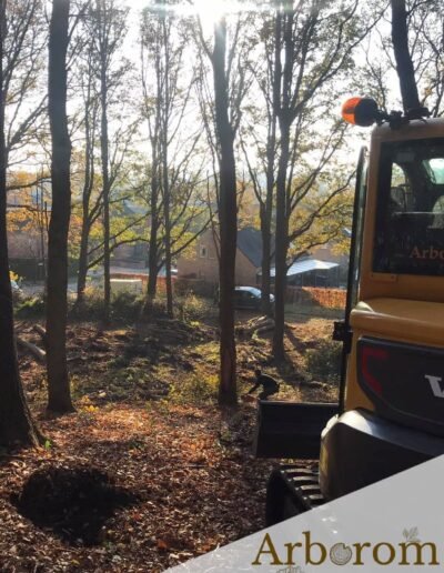 Entreprise d'abattage d'arbres active dans votre région