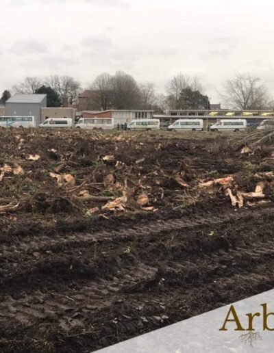 Gyrobroyage du sol après abattage - entreprise arborom