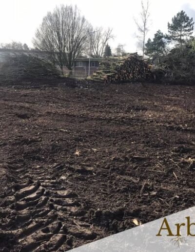 Avant construction - abattage des arbres et mise à blanc - Hainaut