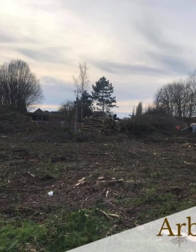 Nettoyage et gyrobroyage du sol après abattage à Ghlin