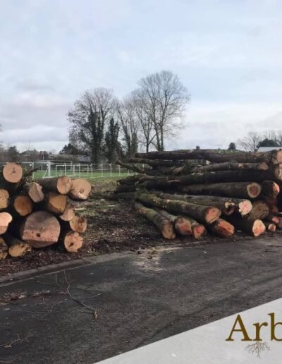Abattage d'arbres et travail de gyrobroyage