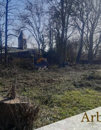 Entreprise pour abattre ses arbres dans un jardin - region de Mons