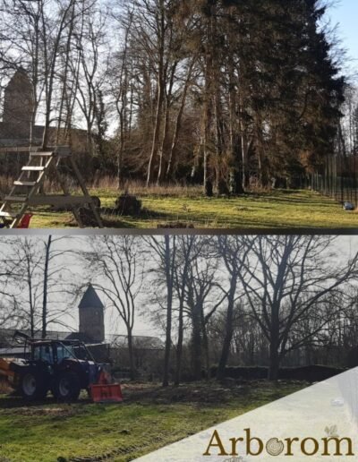 Abattage d'arbres dans un domaine privé