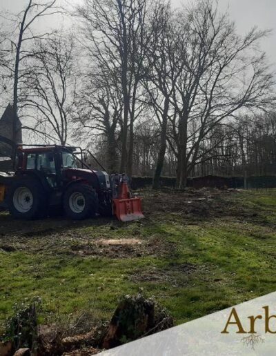 Entreprise d'abattage d'arbres pour particuliers dans la région de Mons