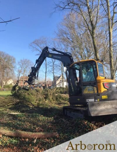 Abattage de sapins et broyage des branches sur Saint-Symphorien (Mons)