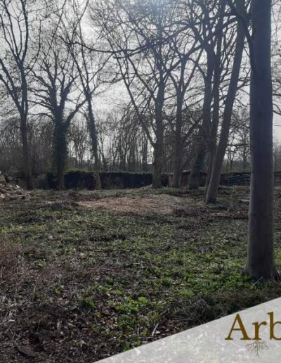 Societe d'abattage d'arbres, bois de chauffage et broyage des dechets verts