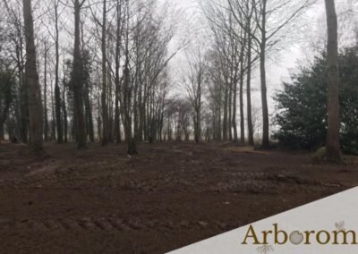 Gyrobroyage d'un terrain boisé - Entreprise Arborom