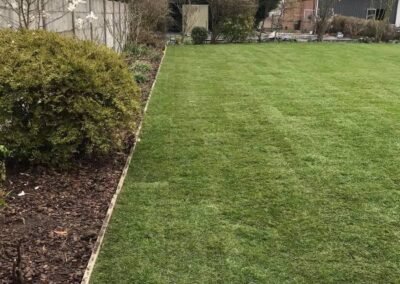 Travail d'installation d'un gazon en rouleau en Belgique - résultat final