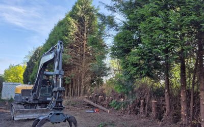 Abattage d’une rangée de sapins à la grue. Photos et vidéo